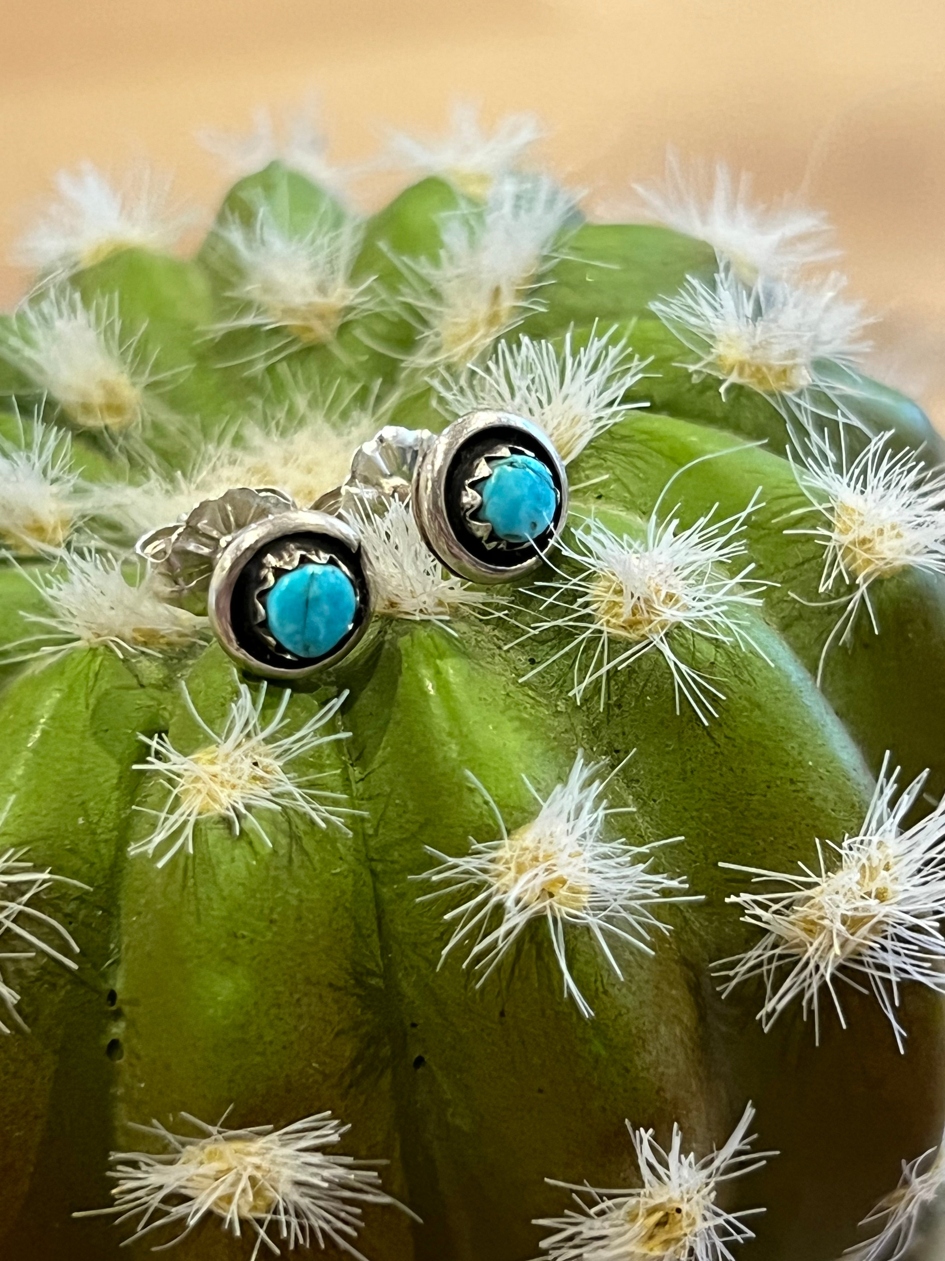 Tiny Framed Turquoise Sterling Silver Earringsu