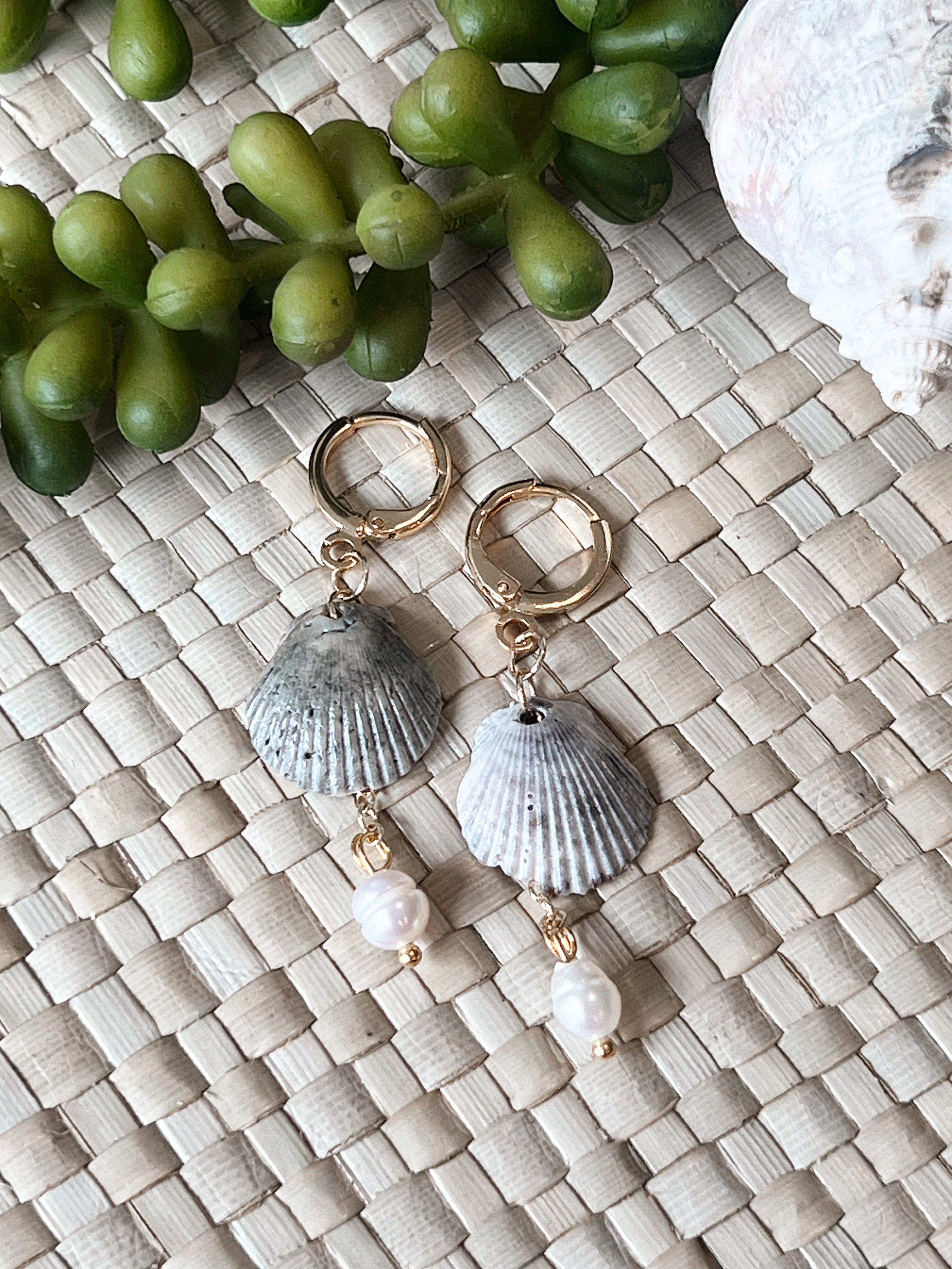 Fossilized Scallop Earrings