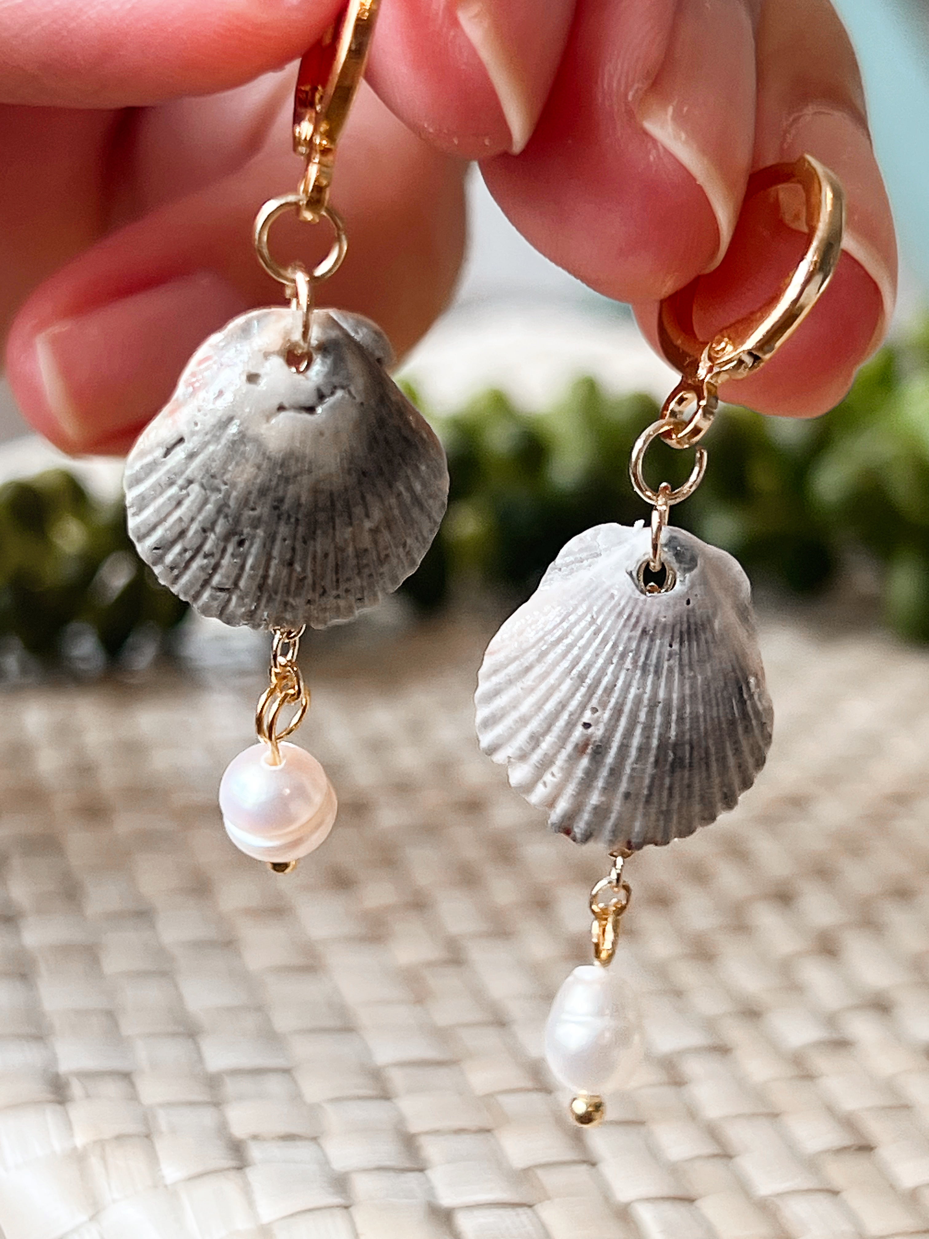 Fossilized Scallop Earrings