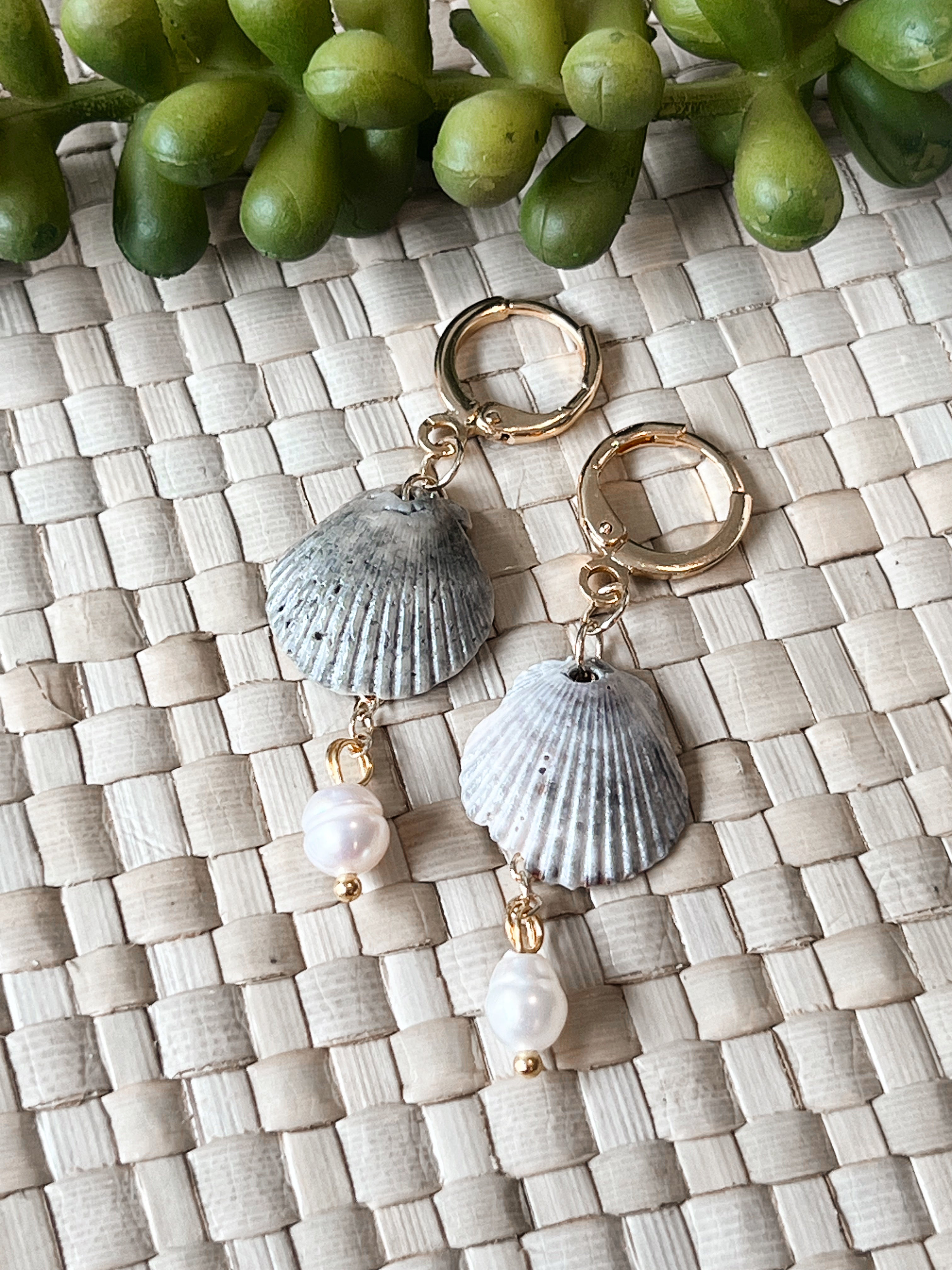 Fossilized Scallop Earrings