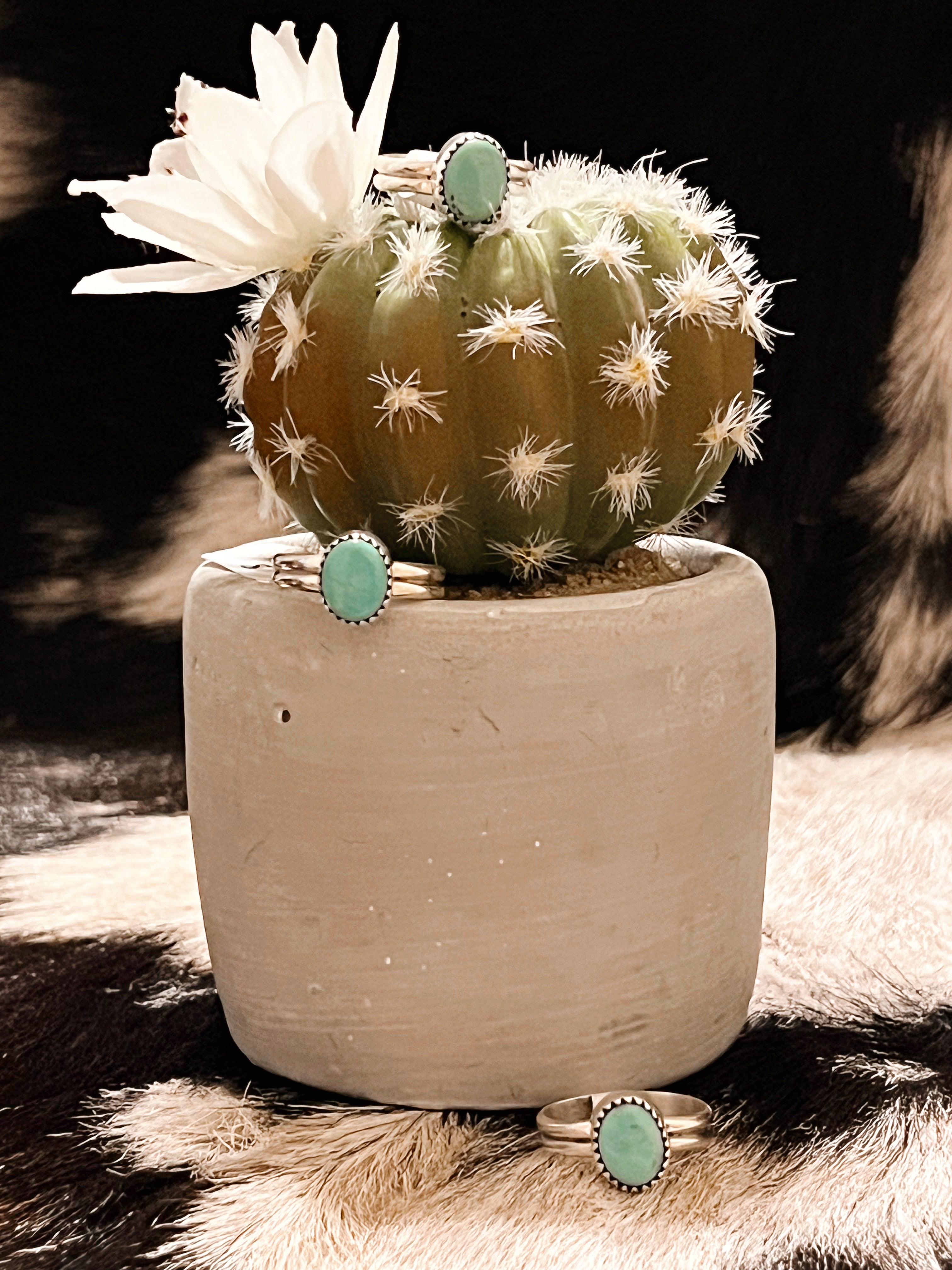 Turquoise Obsession Sterling Silver Ring