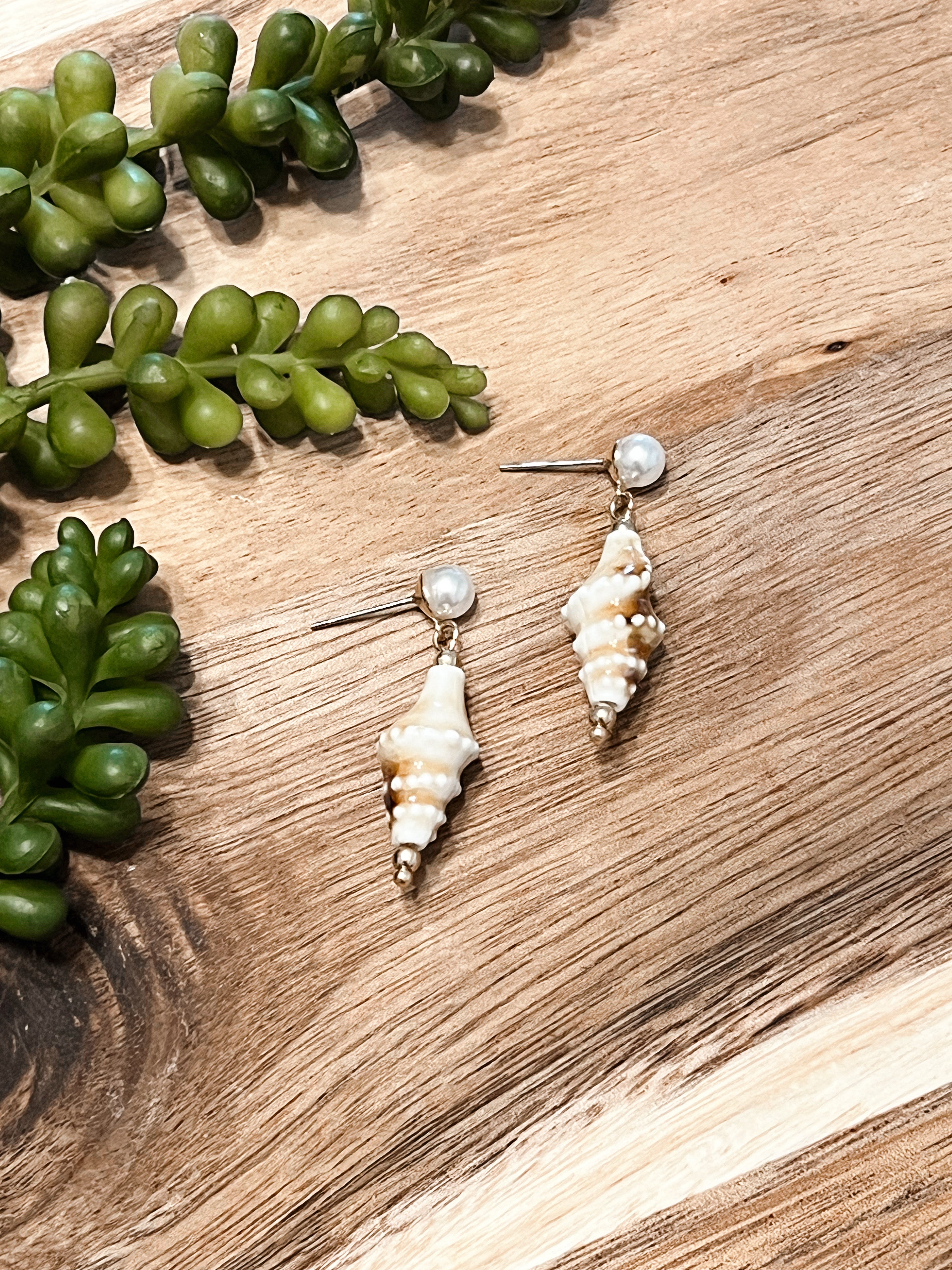 She Sells Seashells Earrings