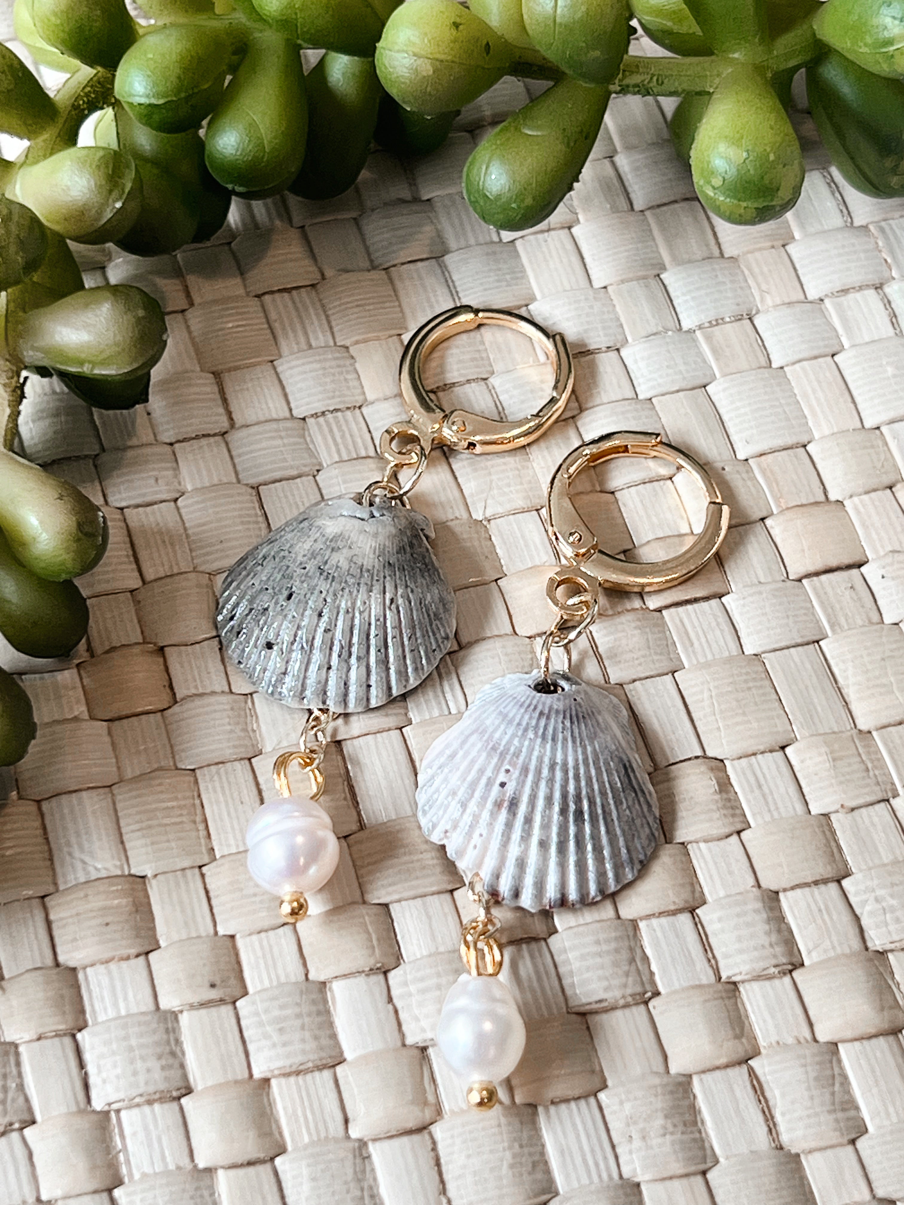 Fossilized Scallop Earrings