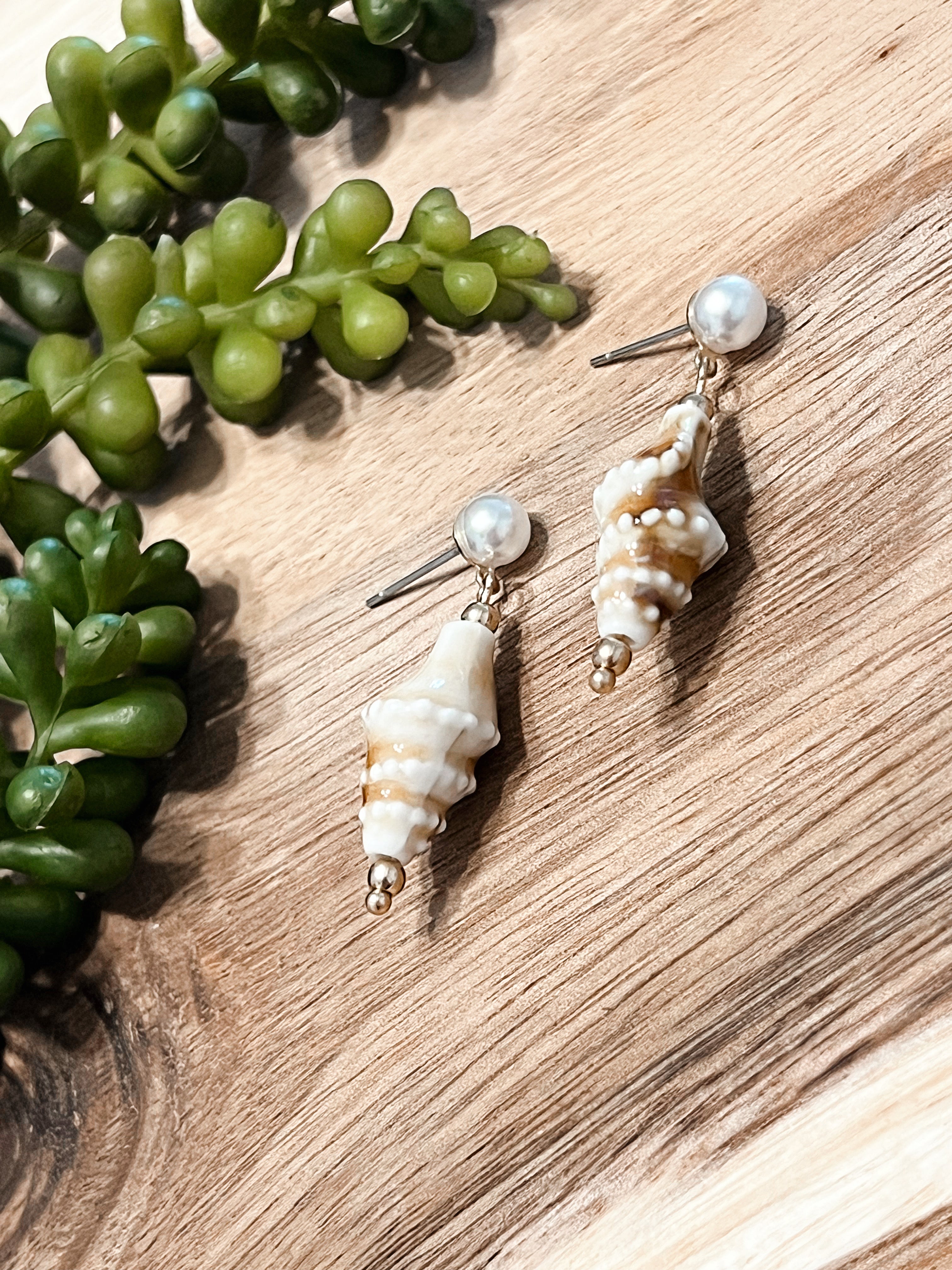 She Sells Seashells Earrings