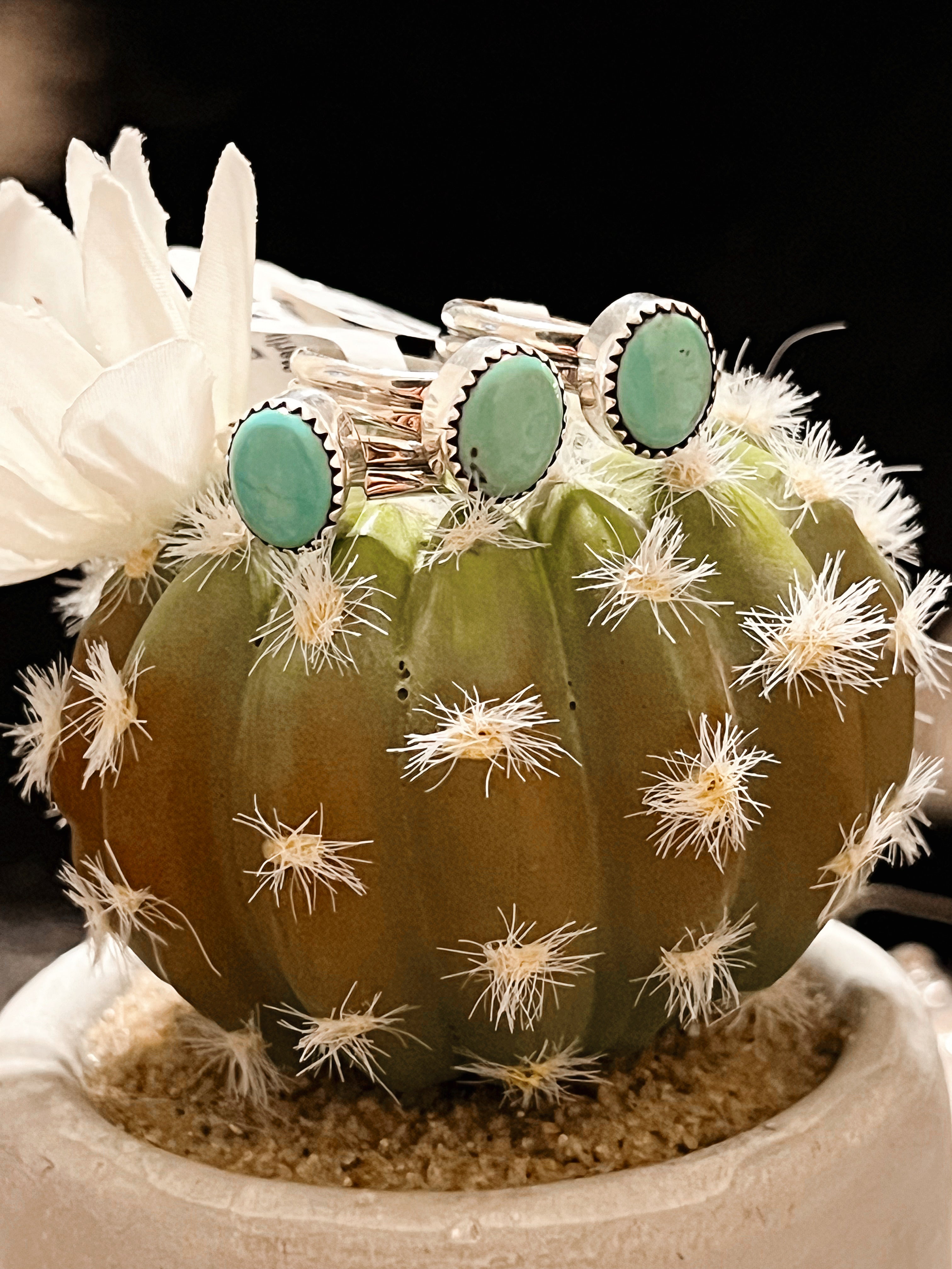 Turquoise Obsession Sterling Silver Ring