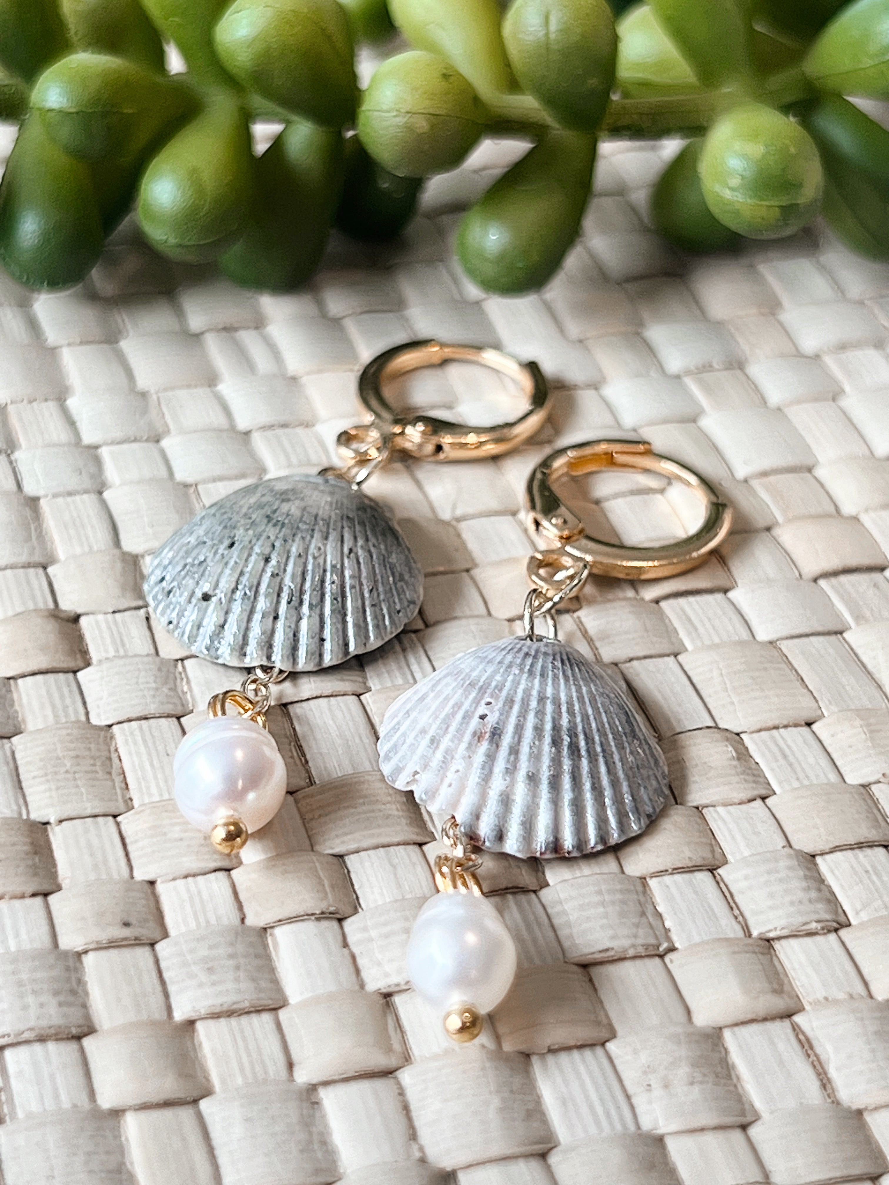 Fossilized Scallop Earrings