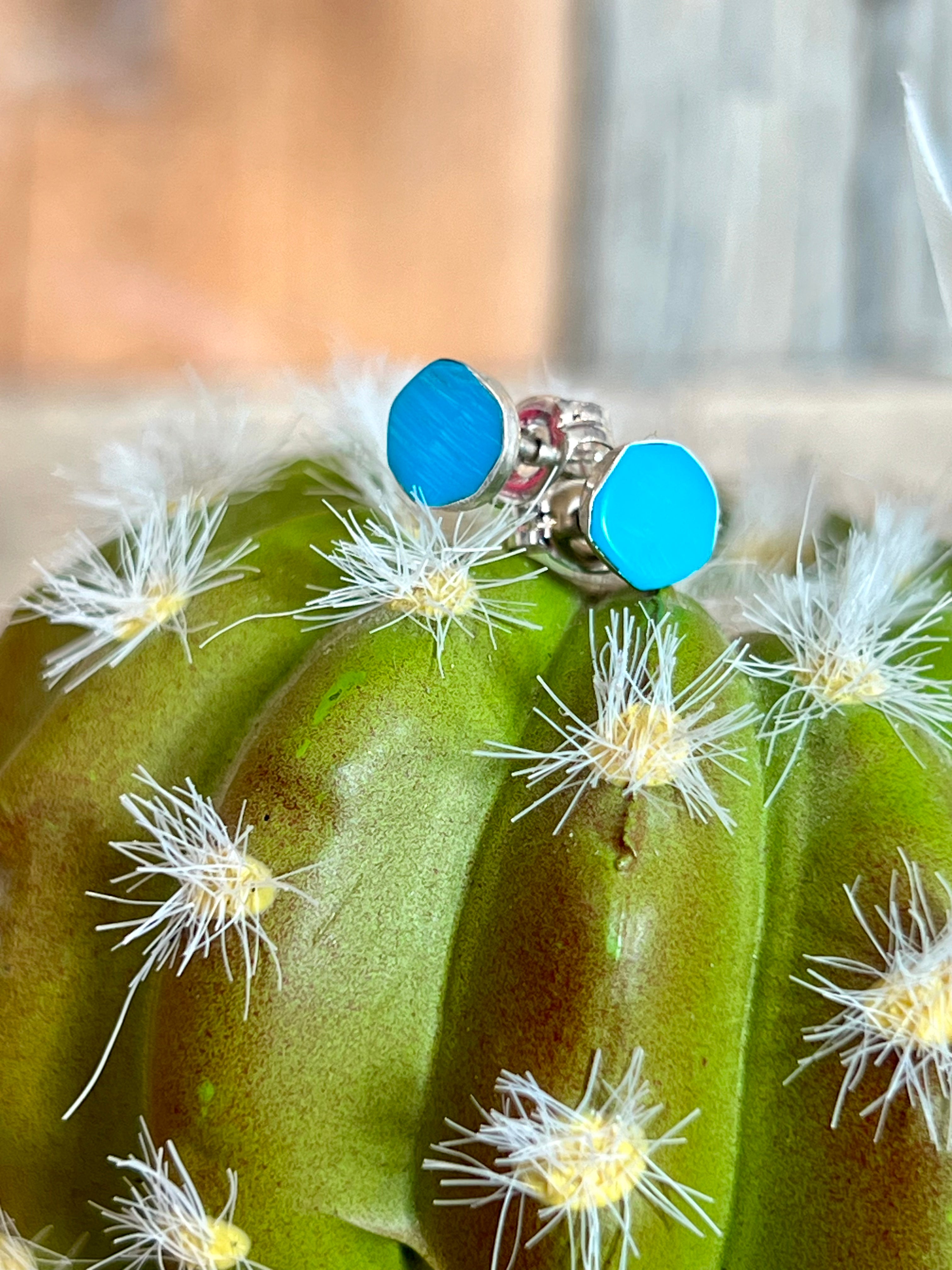 Simple Turquoise Sterling Silver Earrings